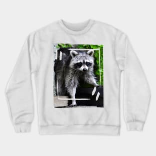 Cute Raccoon Crewneck Sweatshirt